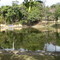 Lago - Parque da Colina