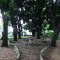 Parque