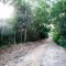 Parque Municipal do Betania - BH