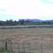 Serra da cidade de Serra Talhada vista a partir da PE 390