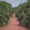 Estrada mal conservada.