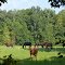 Late afternoon in August at RO Ranch