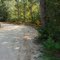 Approaching the creek crossing near the entrance