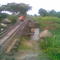 Ponte do trem sobre o Rio Pirapama