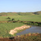 58.イポジュカ川沿岸のサトウキビ畑　Sugar cane field along the Ipojuca River, Pernambuco