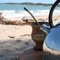 Uma tarde na Praia do Paiva