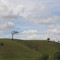 Estrada para Maracaipe, PE