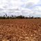 Fazenda no Rio Quente - Cipó/BA