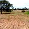 Fazenda no Rio Quente - Cipó/BA