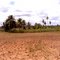 Fazenda no Rio Quente - Cipó/BA