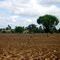 Fazenda no Rio Quente - Cipó/BA