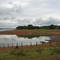 Rancho Canadá III
