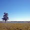 Lago natural em Ipiaçu - MG
