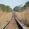 Olhe, olhe o trem