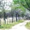 Entrada da Roça de Vó Barbara e Vô Zeca em Campo Verde - Quixabeira - BA