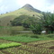 Morro Peito de Moça