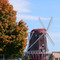 Orange City Windmill