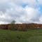 Fall Indiana Farm