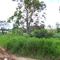 Usina em Moreno-PE