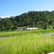 Fazenda ao lado da BR - Moreno PE