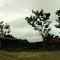 FAZENDA VITORIA