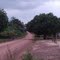 A Vila do Curuperé é um vilarejo que fica 42 Km de Moju/Pará. Fica as margens da estrada PA-252, que vai de Moju ao Acará. - Novembro/2008.
