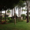 Praça
