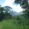 Minas Gerais