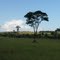 Cerrado - Abaeté - MG