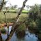 corrego  grota do negro, quartel geral-mg