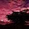 Linhares - por do sol