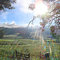SERRA DE CAXAMBU - VIDINHA By.: VMR