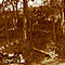 PANORAMICA - ESTRADA DE POUSO ALTO - By.: VMR