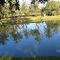 Parque Municipal São Lourenço