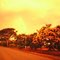 On the road to Sao Lorenzo -1970-