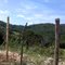 Vista para o caminho para Ravena
