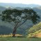 Rancho Paiol