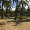 Panorâmica