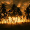 Atardecer en Costa Sauipe