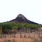 Pico na Fazenda Caraíba