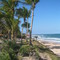 Praia Algodões