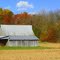 Old Barn near Gila, IL