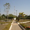 Praça - Alcinópolis-MS