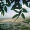 Praia de Beja, Abaetetuba, Pará, Brasil