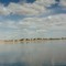 Rio São Francisco