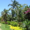 Perfect Garden