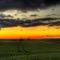 Paisagem... Fim de tarde, plantação de soja