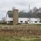 White Country Barn