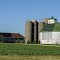 Country Farm wih Silos