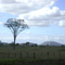 Vista próxima da cidade de Nanuqe- MG  --  leste da cidade